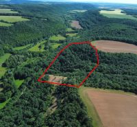 In Domaníky, there are agricultural and forest lands with dense forests and small fields.