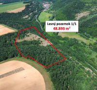 Aerial view of a forest plot in Domaníky with an area of 48,893 m².