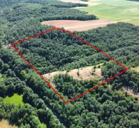 Aerial view of agricultural and forest lands in the village of Domaníky, surrounded by greenery.