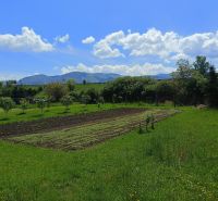A plot suitable for living in the town of Turany, Hlboká cesta, with fruit trees and a garden.