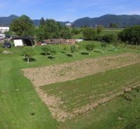 Plots - housing on Hlboká Street in Turany with fruit trees and a garden.