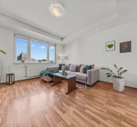Living room of a 4-room apartment with a comfortable sofa and a wooden decor floor.