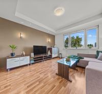 Living room in a 4-room apartment with a sofa and a wooden decor floor.