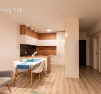 A kitchen with a dining area in a 2-room apartment, a wooden decor floor, and white cabinets.
