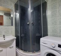 Bathroom with a washing machine and a shower in a 2-room apartment, green tiles and a mirror.