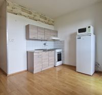 A kitchen in a 2-room apartment with a wooden decor floor and basic equipment.