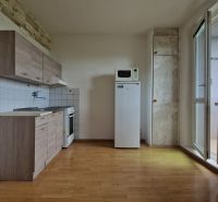 Kitchen with a countertop and appliances, floor with wood decor, radiator, balcony, 2-room apartment.