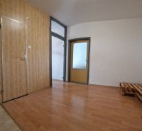 Interior of a 2-room apartment with wooden panel walls and a floor with a wood decor.