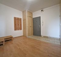 Entrance hallway in a 2-room apartment with a wooden decor floor and a coat rack wall.
