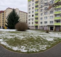 Apartment buildings surrounded by remnants of snow on Novozámocká Street, Zvolen, Banská Bystrica Region, Slovakia.