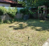 The garden at the cottage on the street in Nové Zámky with abundant greenery and a woodshed.