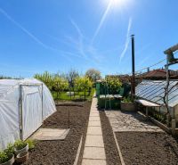 A garden with a polytunnel and a greenhouse at a family house on Nova cesta in Jelka.