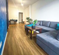 Living room with wood-patterned flooring and a blue wall in a two-room apartment.