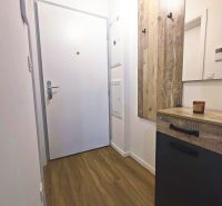 Entrance hallway in a 2-room apartment with a wooden decor floor and a coat rack wall.
