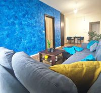 Living room in a two-room apartment, gray sofa, blue wall, wooden floor decor, dining area.