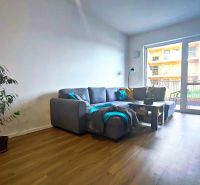 Living room in a two-room apartment with a sofa, a plant, and a wooden decor floor.