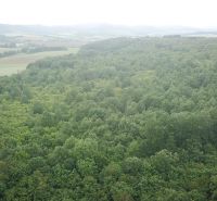 Extensive forests and agricultural lands near Trebušovce spread across green valleys.