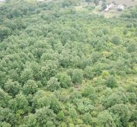Aerial view of green forested lands around the village of Trebušovce.