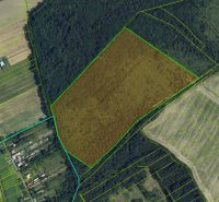 An aerial view of agricultural and forest lands around Trebušovce with parcel boundaries.