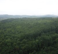 Forested agricultural and forest lands around Trebušovce, with a view of the hilly landscape.