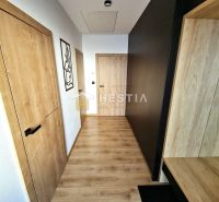 A hallway in a family house with a wood-patterned floor and minimalist wall decoration.