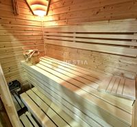 The interior of a sauna in a family house with wooden paneling and a traditional bench.