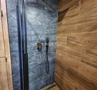Shower enclosure with dark gray tiles and walls with a wood decor in a family house.