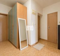 An entrance hall with a wardrobe and a mirror in a 2-room apartment with tiled flooring.