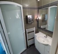 Bathroom with a sink, mirror, shower enclosure, and ladder radiator in the building.