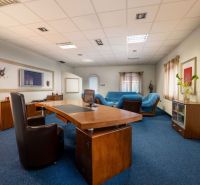 Office with a desk, blue carpet, leather chairs and sofas, walls with decorations.