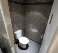 Bathroom with toilet, tiles, and gray floor with ceramic decor.