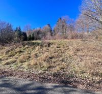 A grassy plot on the outskirts of Donovaly, Banská Bystrica District, Banská Bystrica Region, Slovakia.