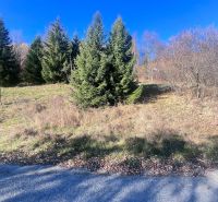 Forested lands in Donovaly, Banská Bystrica District, Banská Bystrica Region, Slovakia.