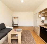 Living room in a studio apartment with a sofa and wooden decor furniture.