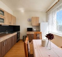 Kitchen corner with wooden cabinets in a studio apartment, light curtains, and a dining table.
