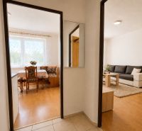 Interior of a 1-room apartment with a wooden decor floor, dining table, and sofa.