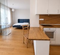 Living space in a 2-room apartment with a kitchenette and a floor with a wooden decor.