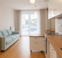 Living room in a two-room apartment with a wooden decor floor and a light-colored sofa.
