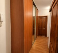 A narrow hallway with sliding wardrobes and a floor with wooden decor in a 2-room apartment.