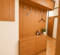 Entrance hallway with a wooden wardrobe wall, drawer chest, and flooring with a wooden decor.