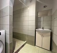 A bathroom in a 2-room apartment with a sink, shower, and washing machine.