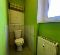 Green bathroom with a toilet, radiator, and window in a 2-room apartment.