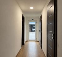 A corridor with a wooden decor floor and dark doors in manufacturing premises.