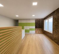 Production premises with a wooden decor floor, a green and white cabinet, and a window.