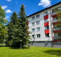 An apartment building surrounded by trees on Za Nožiarňou Street in Slovenská Ľupča.