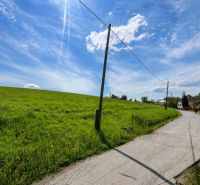 The path leading along the green residential plots in Fintice under the blue sky.