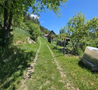 A path surrounded by greenery leads to a cottage in Budatín.