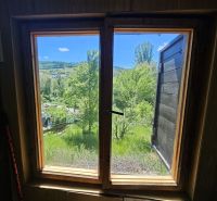 The view from the cabin window of the green landscape and trees.