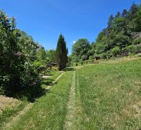 A grassy path in Budatín, surrounded by trees, with a view of greenery near the cottage.