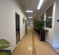 A corridor with a wooden decor floor, plants, and decorative elements in the production areas.